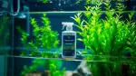 Algenmittel im Aquarium