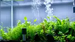 CO2 Diffusor im Aquarium