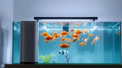 Aquarium Außenfilter im Vergleich