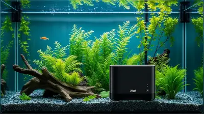 Effektive Algenentfernung im Aquarium