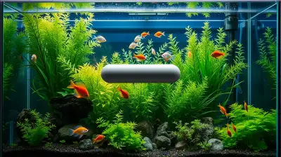 Grünalgen im Aquarium bekämpfen