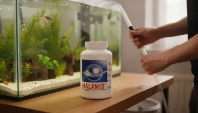 Krankheitsprävention im Aquarium: Hygiene ist der Schlüssel