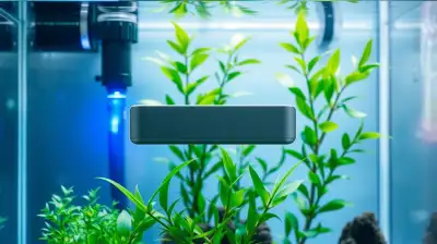 Blaualgen effektiv bekämpfen
