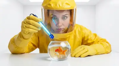 Die 8 besten UV-Sterilisatoren für Aquarien im Vergleich (Oktober 2026)