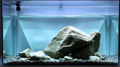 Japanische Aquascaping Techniken für harmonische Unterwasserwelten