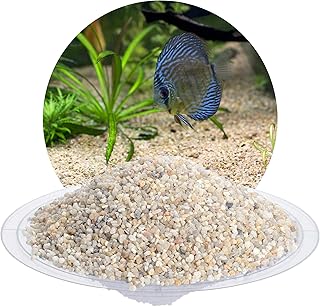 Schicker Mineral Aquariumkies beige 25 kg, grober Aquariumsand gewaschen, ungefärbt, kantengerun…