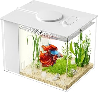 Vehipa 2.9L Kleines Betta Aquarium Komplettset, Nano Aquarium aus Acryl mit Filter, LED Light, Pu…