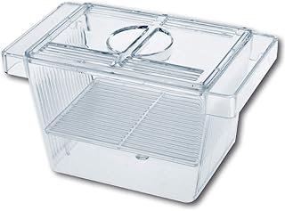 Amtra Laichraum – 3 in 1 Aquarienfischzuchtbecken mit Deckel, schwimmend, transparent, 12 x 6 x 6 cm