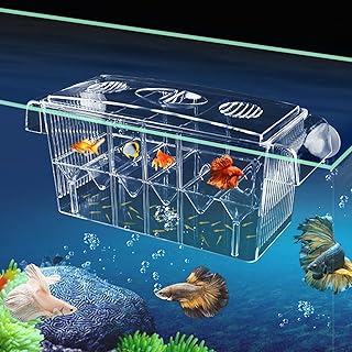CSPone Ablaichkasten Aquarium Klein Laichbecken Aquarium Fisch-Züchterbox Zuchtbecken Aufzuchtbe…