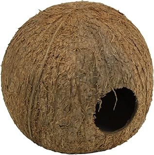 JBL 61512 Kokosnuss-Schale als Höhle für Aquarien und Terrarien Cocos Cava 3/4 L