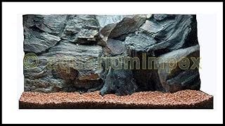 3D Aquarienrückwand 60×30 Root