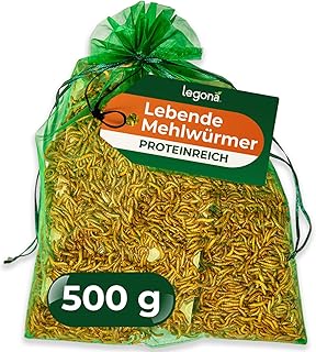 Legona Mehlwürmer lebend 500 g – Futterinsekten für Terrariumtiere und Hühner – Tenebrio Molit…