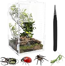 Terrarium 12x12x20 cm, Acryl Terrarium mit Komplettset inklusive Futterpinzette und Pipette für …