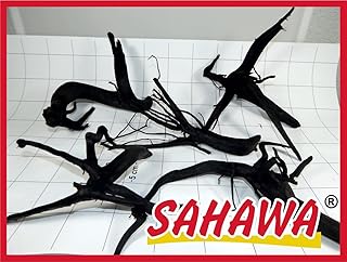 Rote Moorwurzel 15–20 cm | Natürliche Moorkienwurzel/Mangrovenwurzel für Aquarium & Garnelenb…