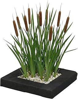 Vdvelde․com – Schwimmende Pflanzinsel mit Lisdodde – 4x Typha latifolia Teichpflanzen Set – Pfl…