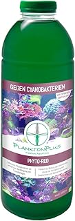 Synechococcus – gegen Cyanobakterien Phytoplankton Plankton