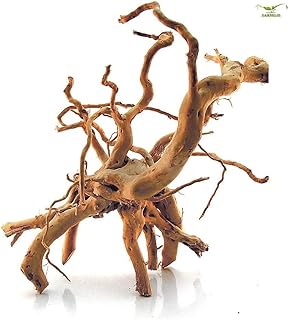 Spiderwood – Gr. S – L, Größe:L – 50-70 cm