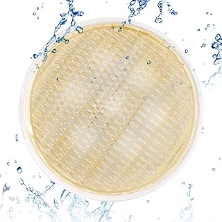LED Poolleuchten, PAR56 Unterwasserleuchten, Warmweiß Schwimmbadleuchten, IP68 Wasserdichte Pool…