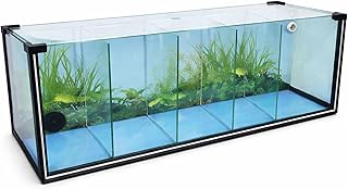 FT61 Zucht-Aquarium 29 L – 5-Kammer Systembecken mit Rückwand-Biofilter – Garnelen- & Aufzuc…