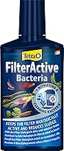 Tetra FilterActive Bacteria – 2in1 Mix aus lebenden Starterbakterien und schlammreduzierenden Rei…