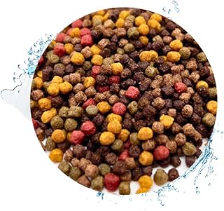 Warnick’s Fischfutter Koifutter 10-Sorten-Mix 3 mm – 10 Liter | Fischfutter für Koi & Zierfische…