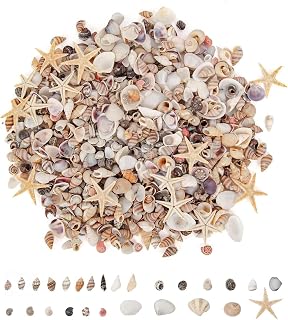 200 Stück Kleine Muscheln Deko, 0.2cm-1.5cm | Kleine Muscheln Deko, Natürliche Materialien, Ste…