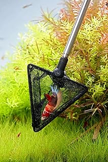 NatureHolic Aquarium Kescher klein & schwarz – Teleskop | Aquarium Zubehör Garnelenkescher aus r…
