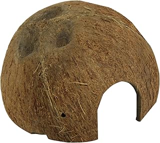 JBL 61510 Kokosnuss-Schale als Höhle für Aquarien und Terrarien, Cocos Cava 1/2 L