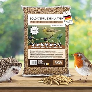 Koi-Herdecke getrocknete Soldatenfliegenlarven 5kg, Black Soldier Fly – wie Mehlwürmer, Reich an…