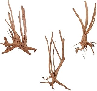 AquaOne Stump Wurzel M 1 Stück Aquarium Wurzel Holz Deko Aquascaping Dekoration Landschaft Mangr…