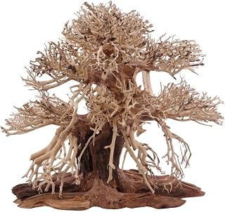 AquaOne Aquarium Premium Bonsai Baum L Bonsai Baum Wurzel Oriental Holz 30x15x30 cm I Aquascaping…