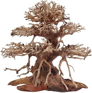 AquaOne Aquarium Premium Bonsai Baum M I Wurzel Oriental Holz 20x12x20 cm I Aquascaping Dekoratio…