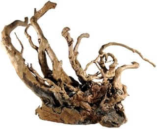 Rote Moorwurzel 25-35 cm, Finger Wood