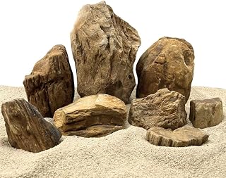 AquaOne Aquariumsteine Brown Fossil Stein I Natursteine Verschiedene Größen I Natursteine für …