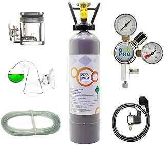 CO2 Anlage DLX-350 Plus Aquarium mit Nachtabschaltung & VOLLE 2kg Mehrwegflasche